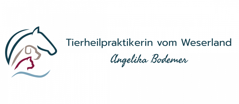 Logo Bild Schrift Farbe